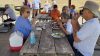 25-08-17-Picnic-13